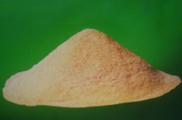 ��Ӧ¯������